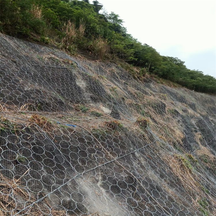 菁宸边坡防护网 筑牢高速山体安全的第一道防线