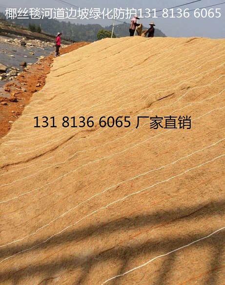 【南昌植物纤维毯 环保草毯 生态毯边坡防护 膨润土防水毯 椰丝毯